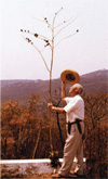 Larry Leach with Aloe procera